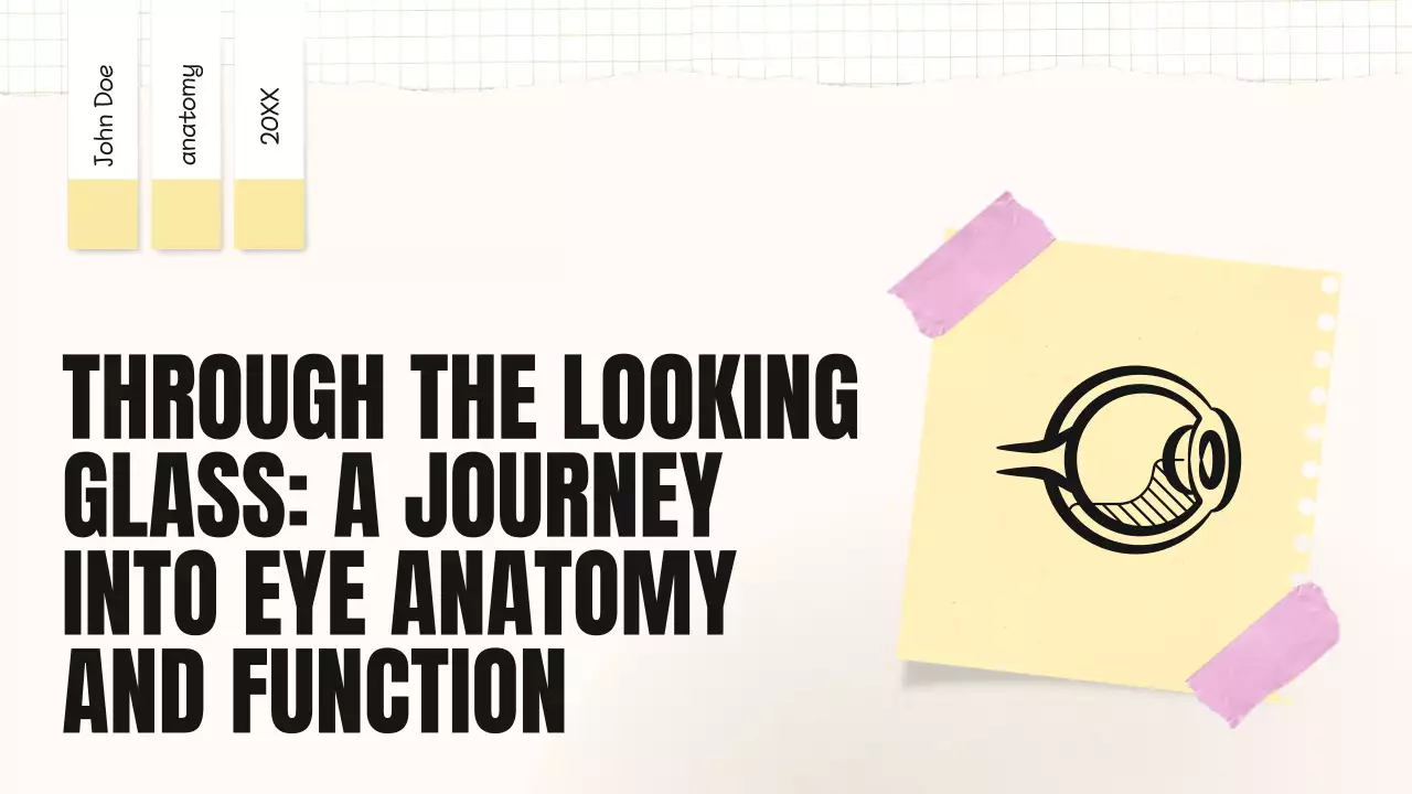 Beige Minimal Anatomy Guide Presentation