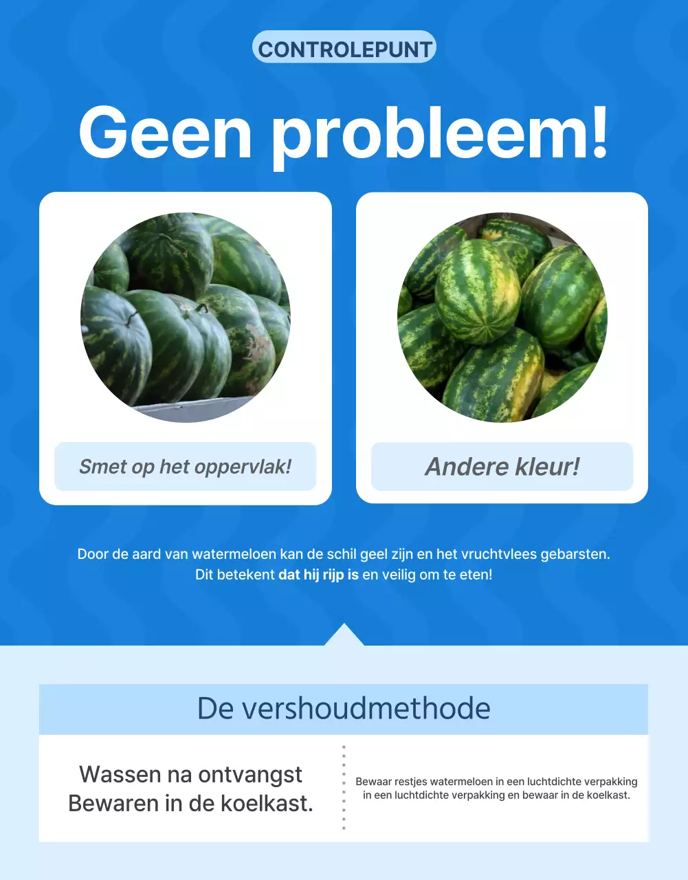 Promoot natuurlijke zomerse seizoensvruchten in blauw en wit