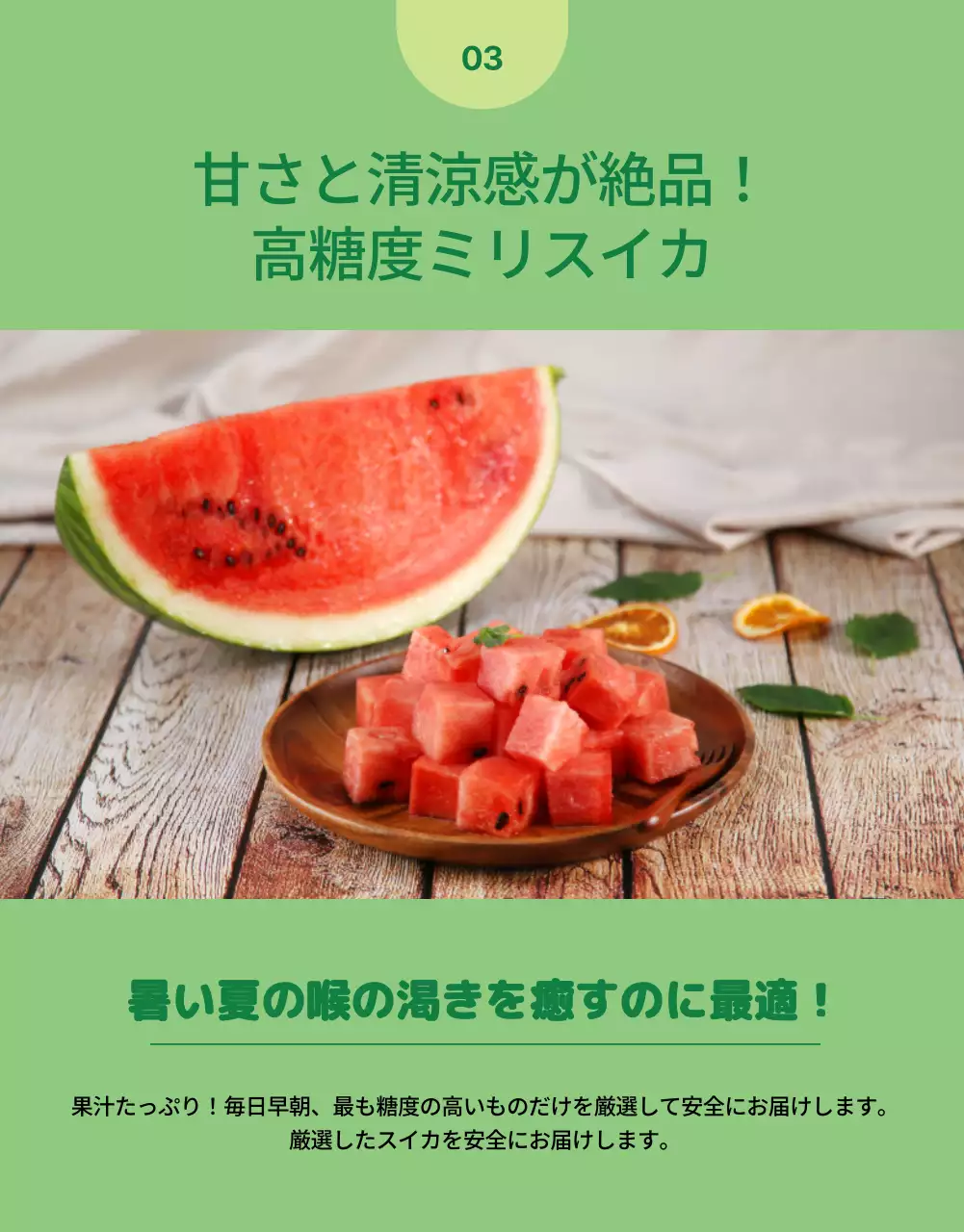 赤 シンプル スイカ パンフレット 詳細ページ