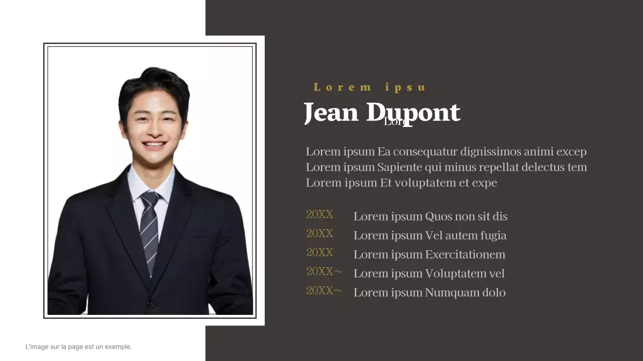 Profil d'entreprise d'un cabinet d'avocats simple brown and white