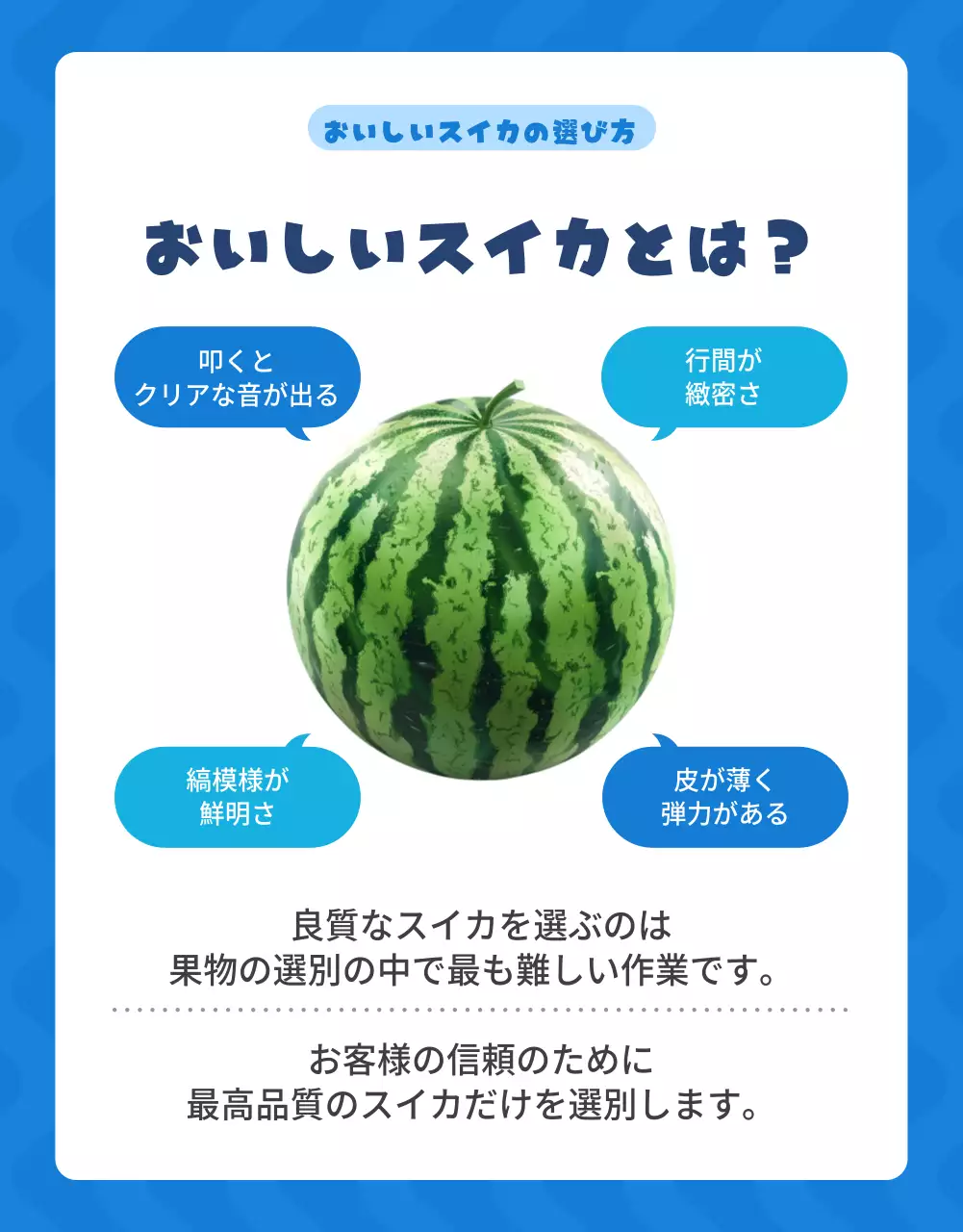 青 かわいい スイカ ポスター 詳細ページ