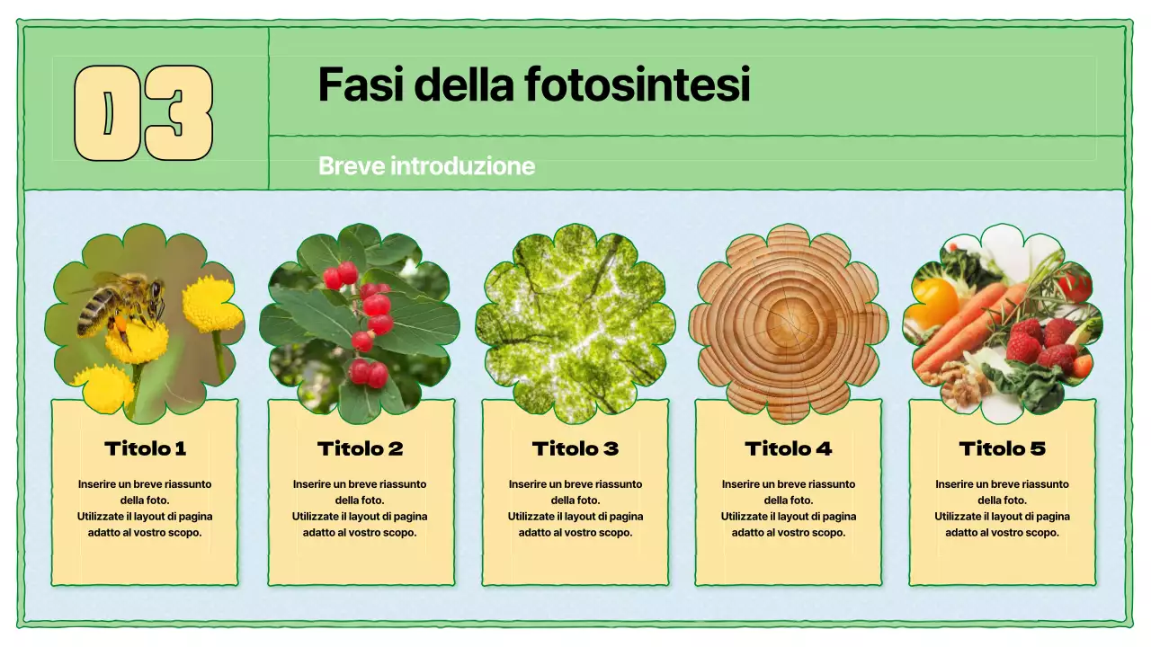Risorse didattiche sulla fotosintesi in chartreuse e azzurro
