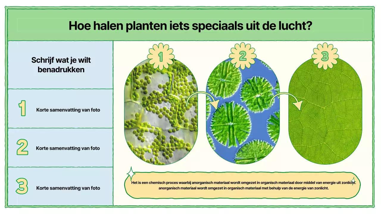 Fotosynthese leermiddelen in chartreuse en lichtblauw
