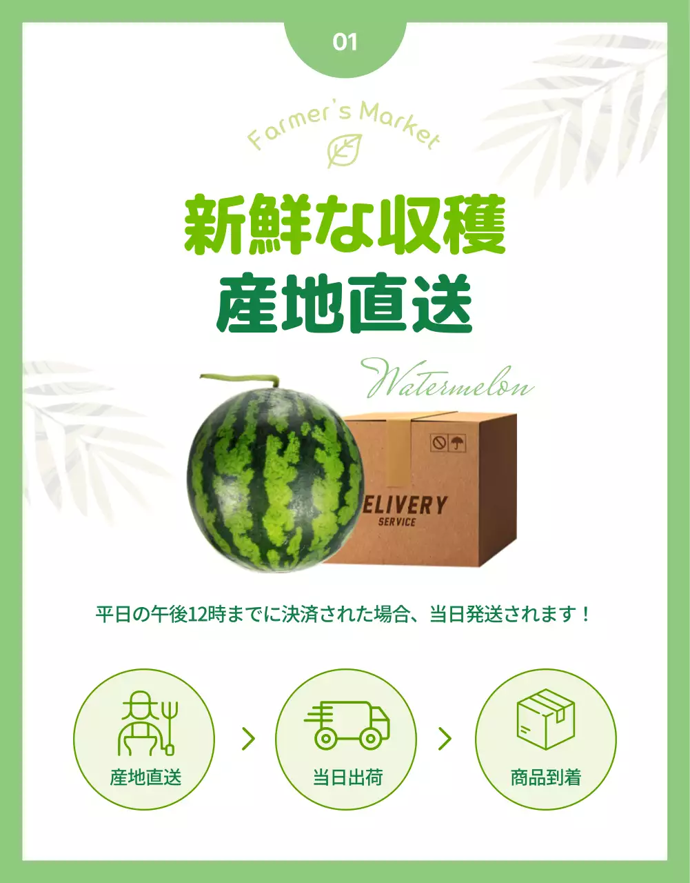赤 シンプル スイカ パンフレット 詳細ページ