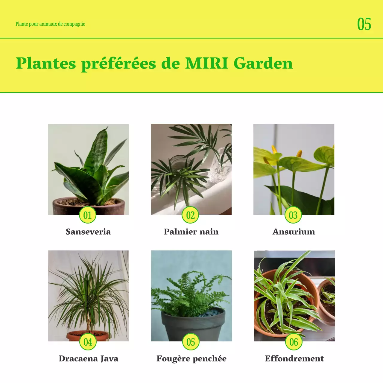 Faites la promotion de votre animal de compagnie avec des couleurs simples comme le jaune et le vert.