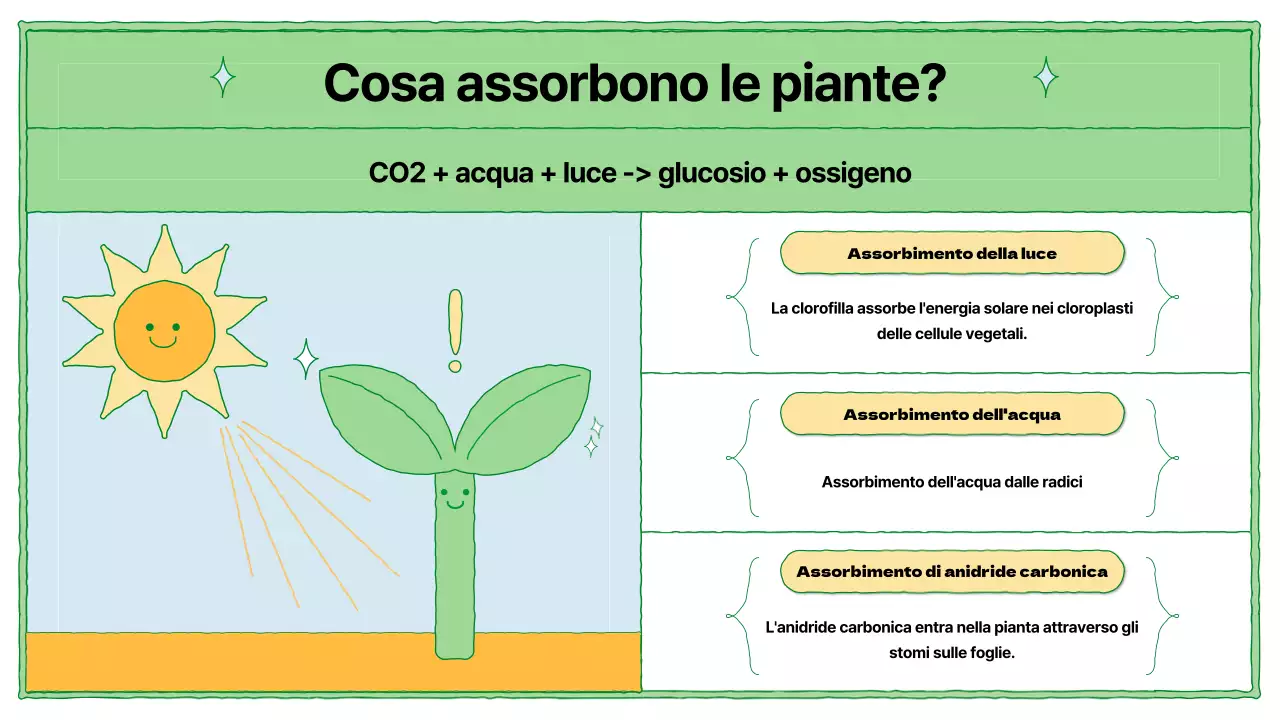 Risorse didattiche sulla fotosintesi in chartreuse e azzurro
