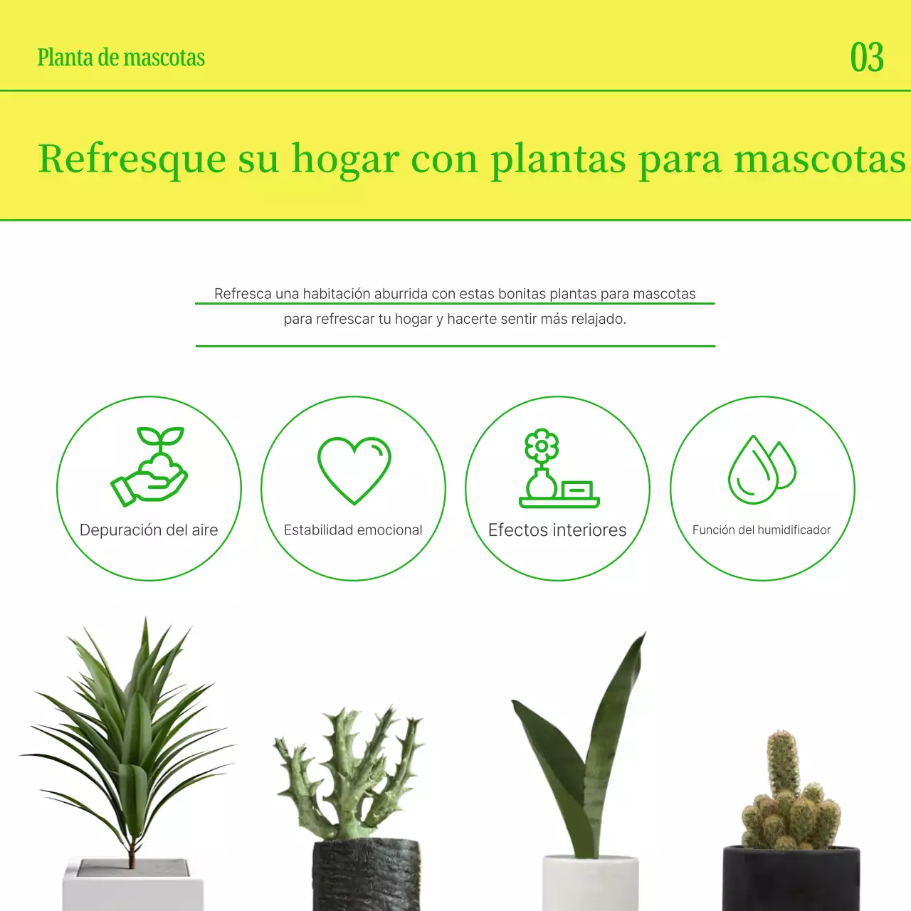 Promociona a tu mascota con sencillos colores amarillo y verde