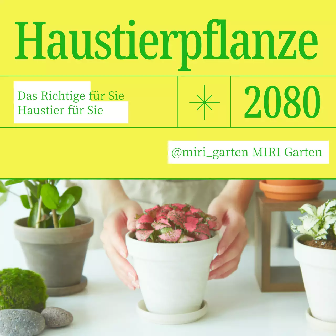 Werben Sie für Ihr Haustier mit einfachen gelben und grünen Farben