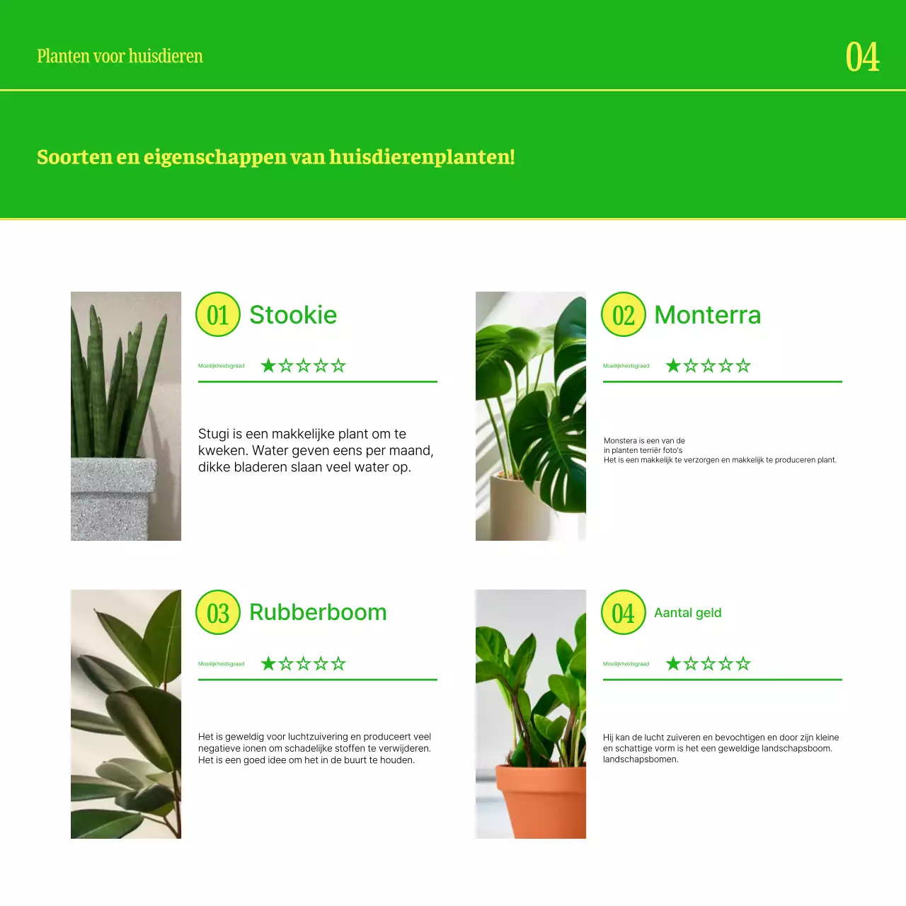 Promoot je huisdier met eenvoudige gele en groene kleuren