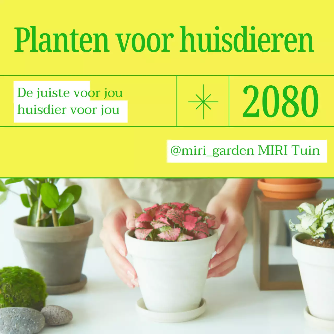 Promoot je huisdier met eenvoudige gele en groene kleuren