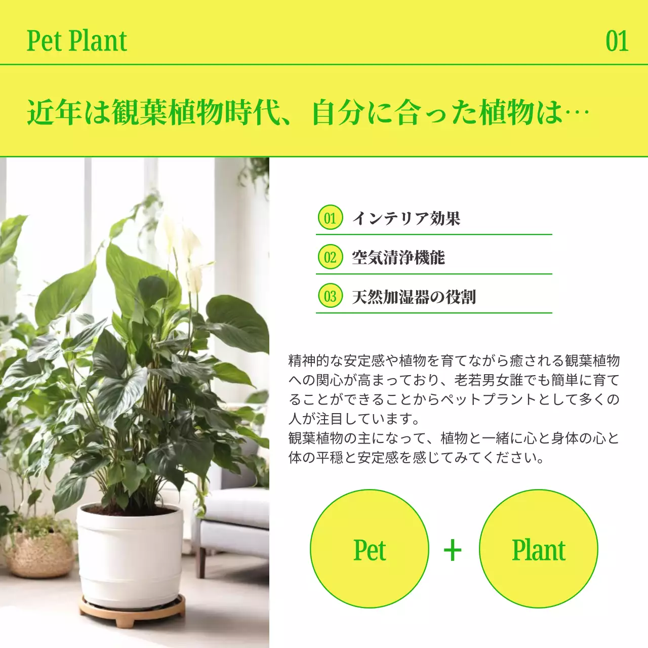黄色 シンプル 観葉植物 パンフレット Instagram カルーセル