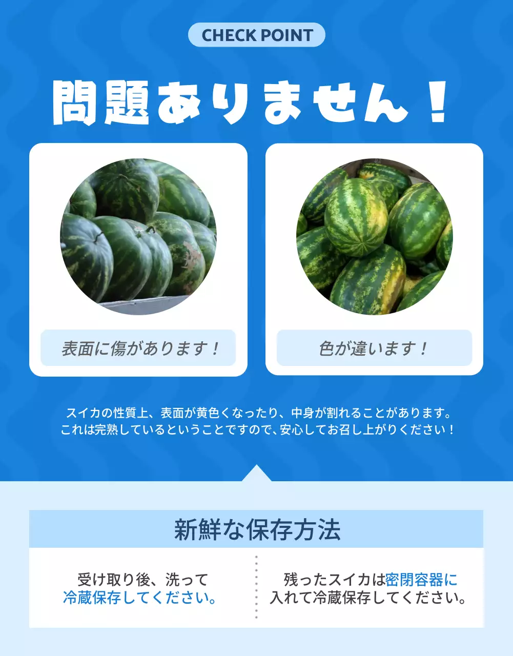 青 かわいい スイカ ポスター 詳細ページ