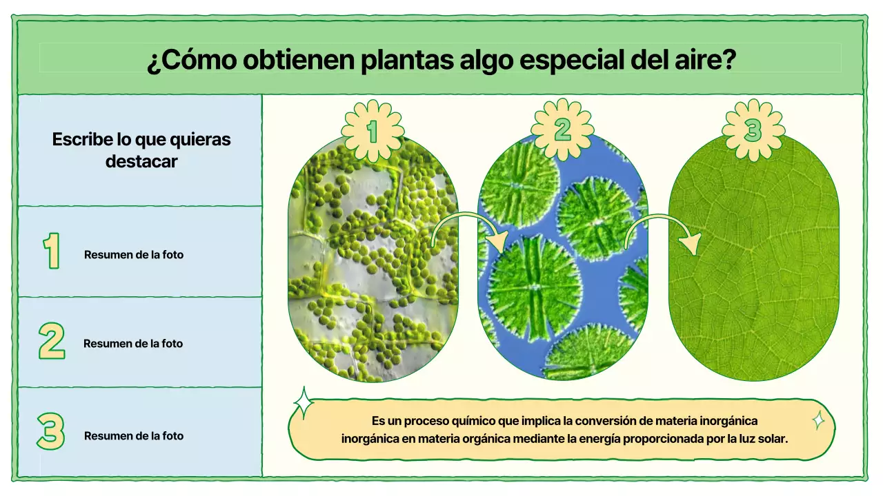 Recursos educativos sobre fotosíntesis en chartreuse y azul claro