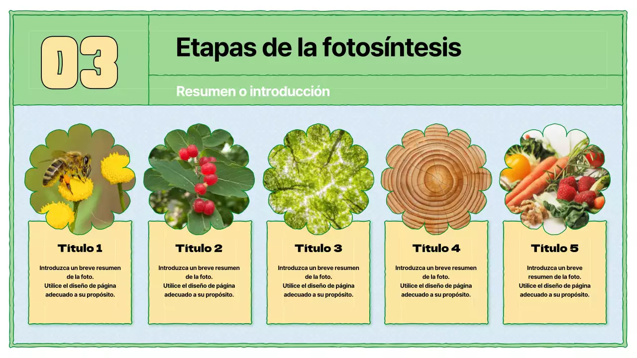 Recursos educativos sobre fotosíntesis en chartreuse y azul claro
