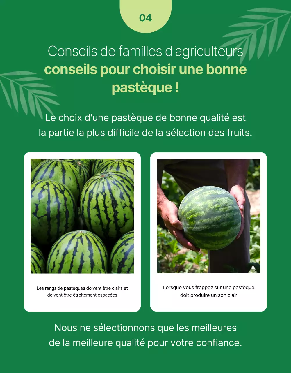 Promouvoir des fruits frais simples dans des couleurs vertes et chartreuses