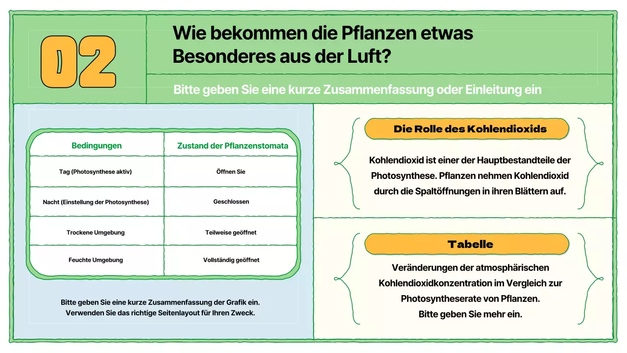 Lehrmaterial zur Photosynthese in Chartreuse und Hellblau