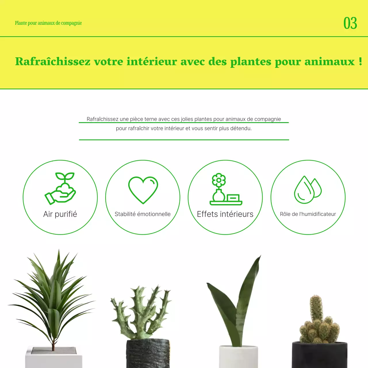 Faites la promotion de votre animal de compagnie avec des couleurs simples comme le jaune et le vert.