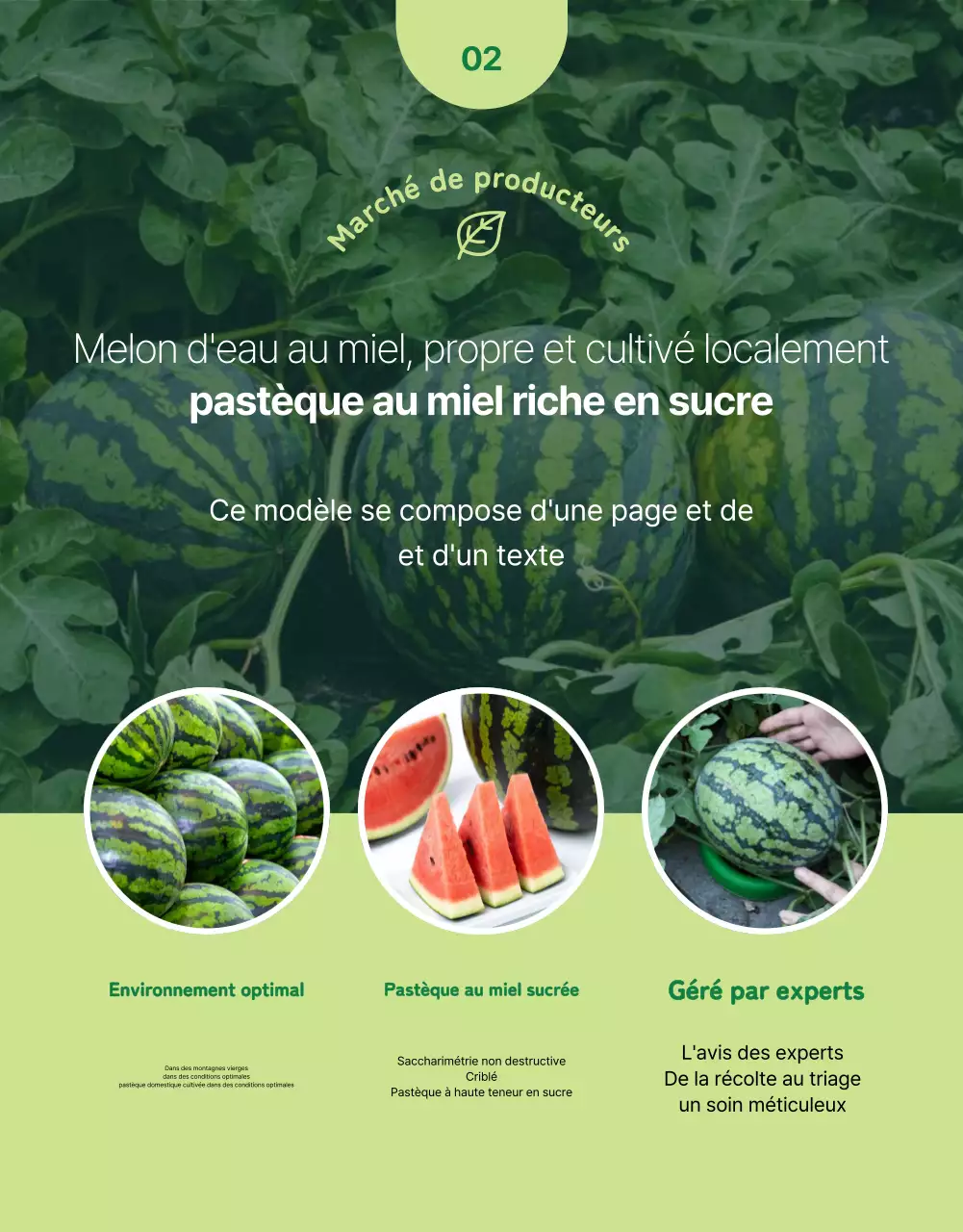 Promouvoir des fruits frais simples dans des couleurs vertes et chartreuses