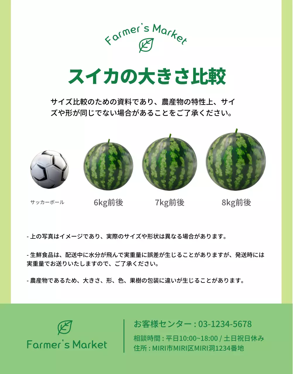 赤 シンプル スイカ パンフレット 詳細ページ