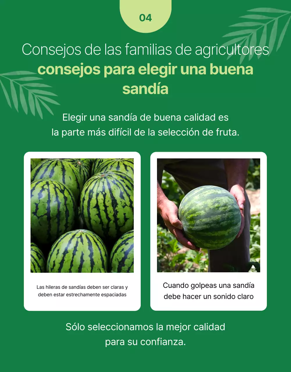 Promover la fruta fresca sencilla en colores verde y chartreuse