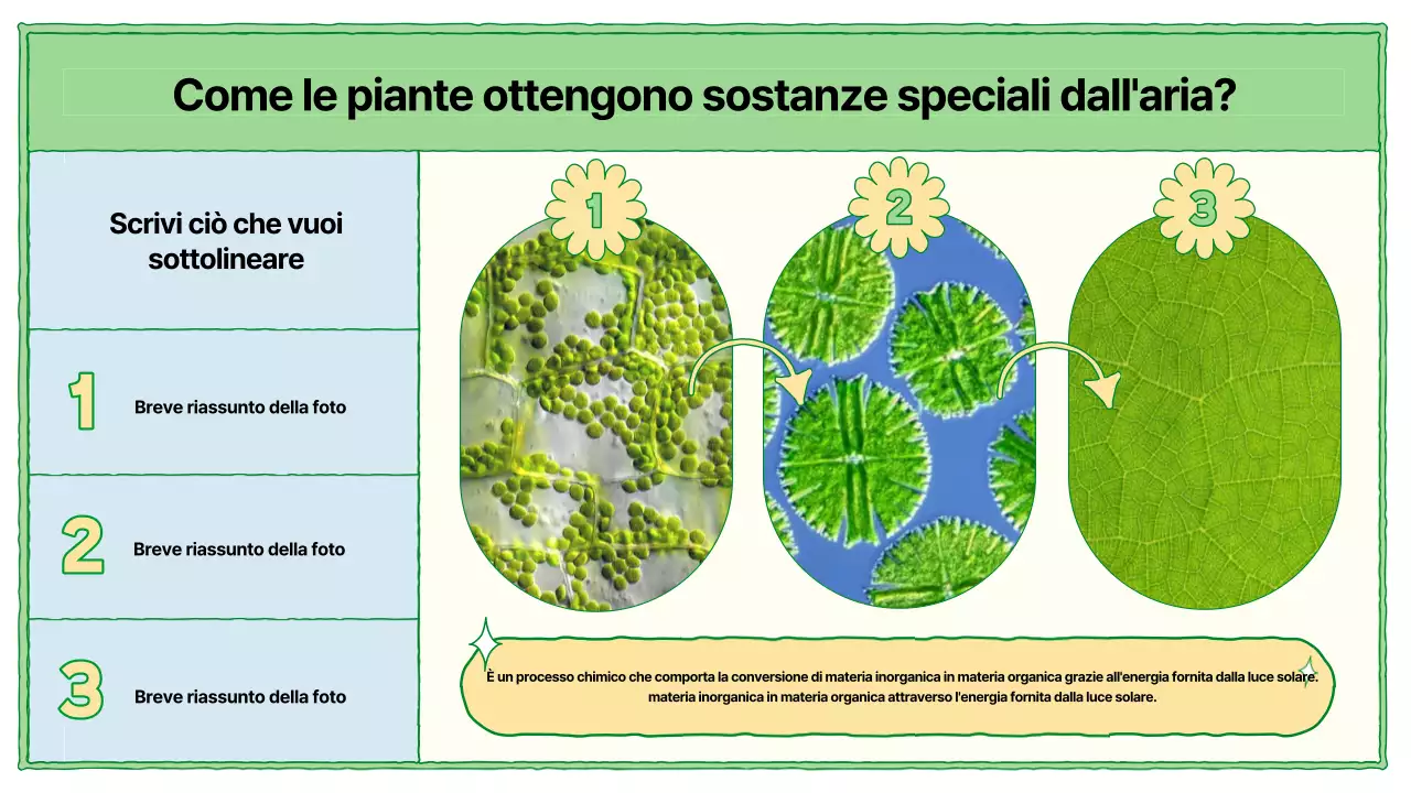 Risorse didattiche sulla fotosintesi in chartreuse e azzurro