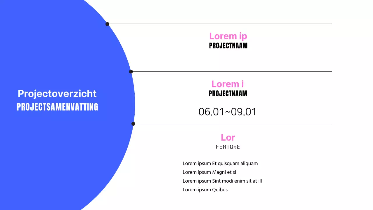 Een eenvoudige projectbeschrijving voor webontwikkeling in blauw en roze