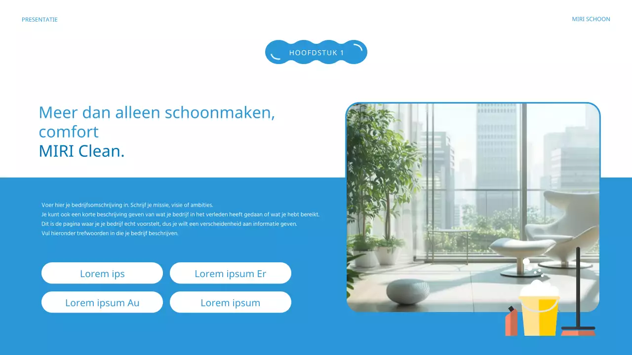 Introductie van Blue's mooie schoonmaakbedrijf