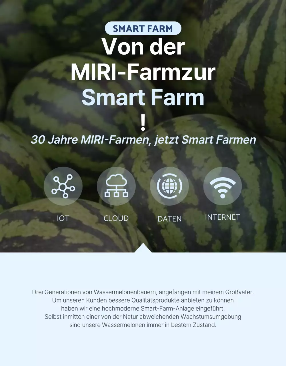 Förderung natürlicher Sommerfrüchte der Saison in Blau und Weiß