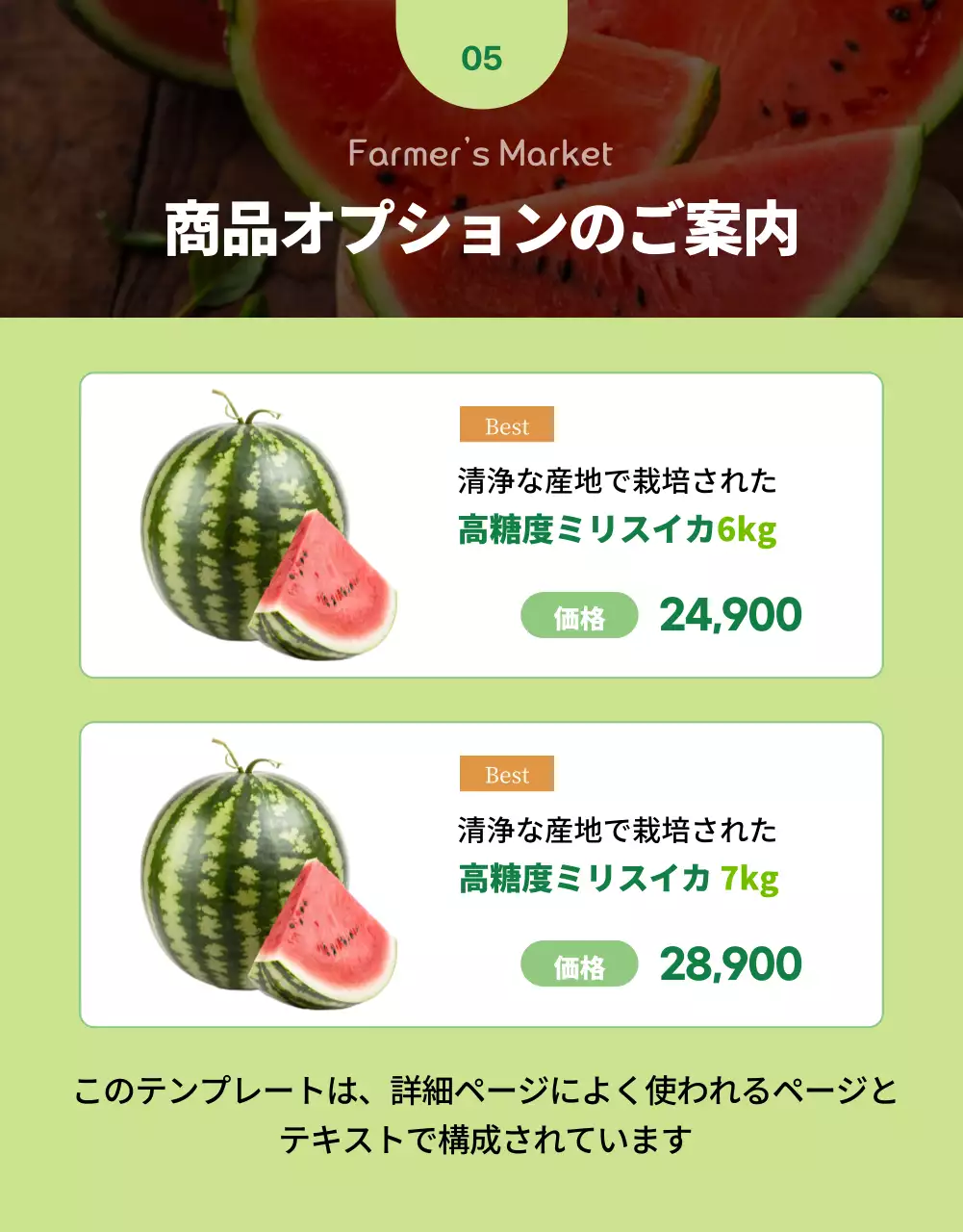 赤 シンプル スイカ パンフレット 詳細ページ