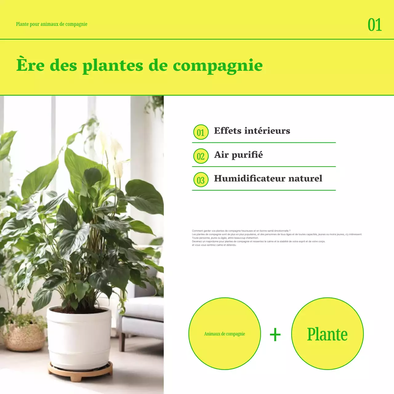 Faites la promotion de votre animal de compagnie avec des couleurs simples comme le jaune et le vert.