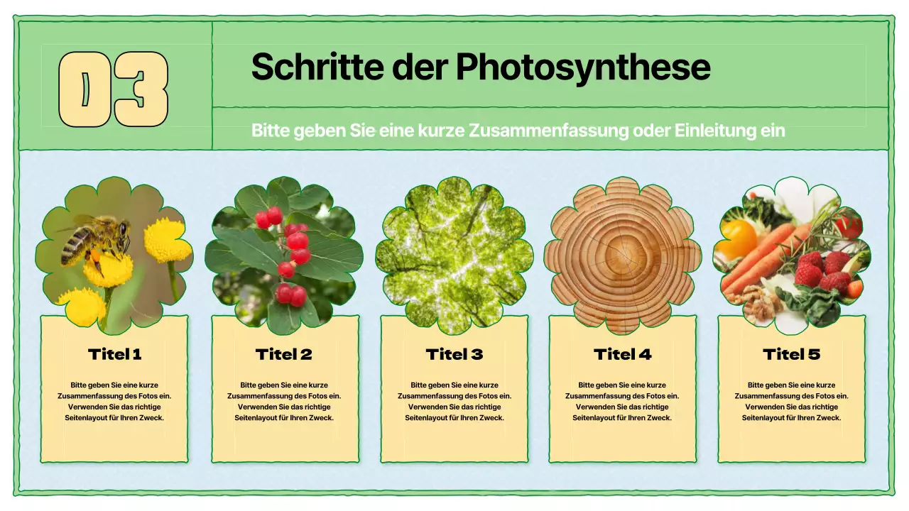 Lehrmaterial zur Photosynthese in Chartreuse und Hellblau
