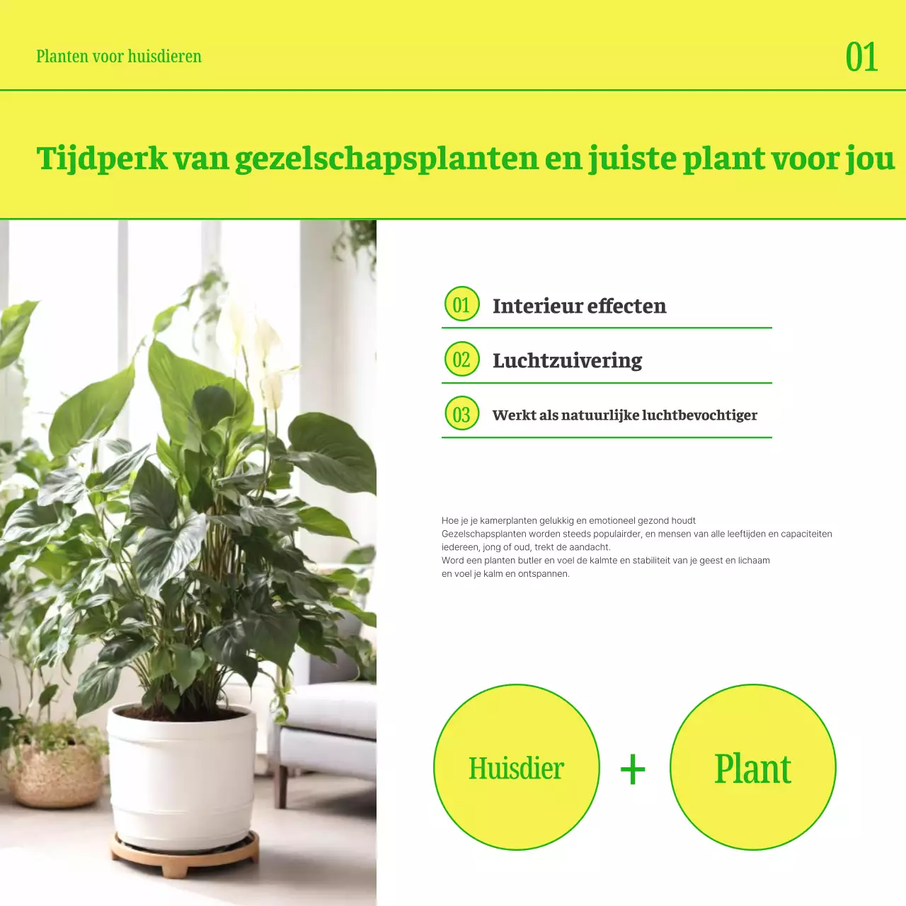 Promoot je huisdier met eenvoudige gele en groene kleuren