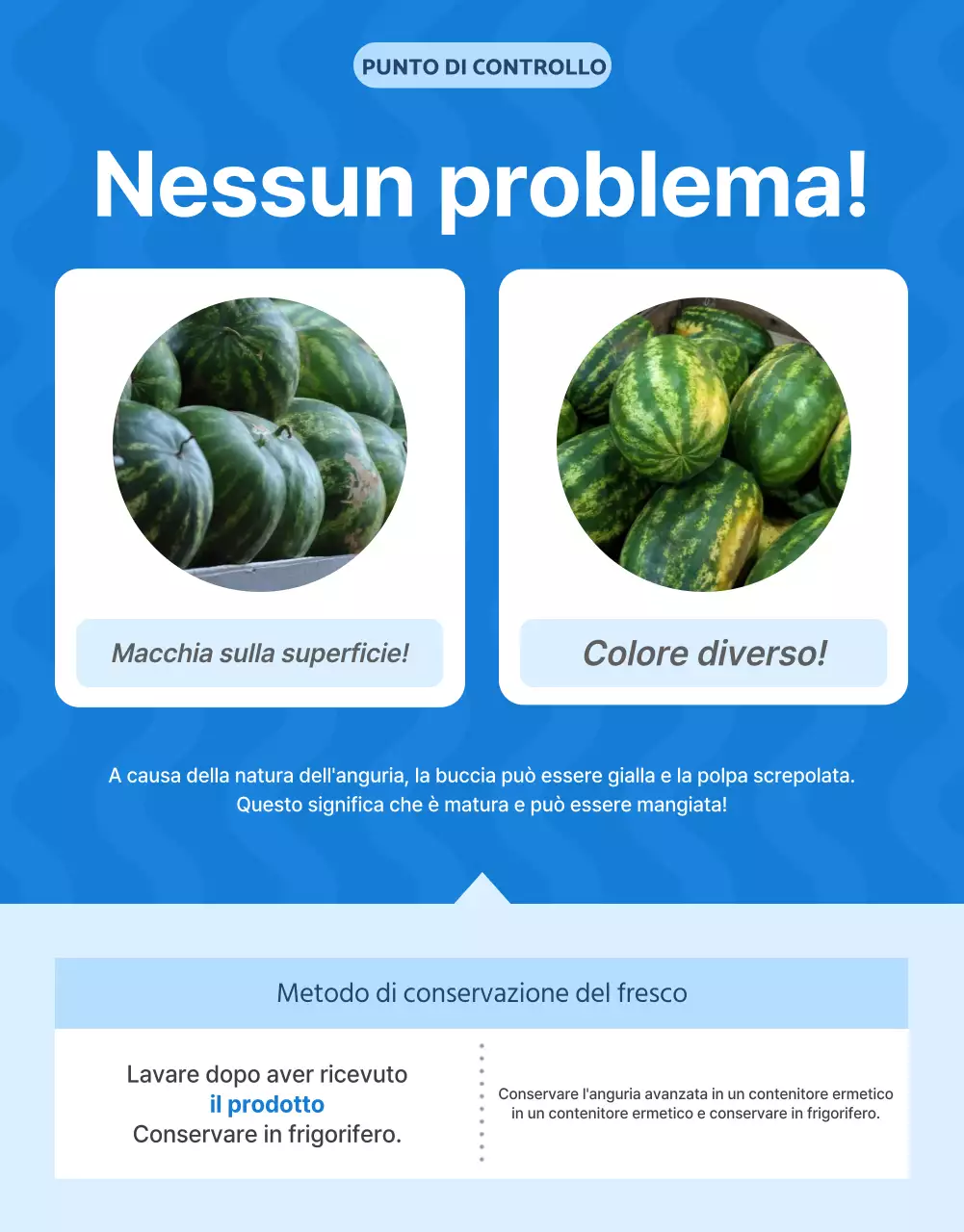 Promuovere la frutta naturale estiva di stagione in blu e bianco