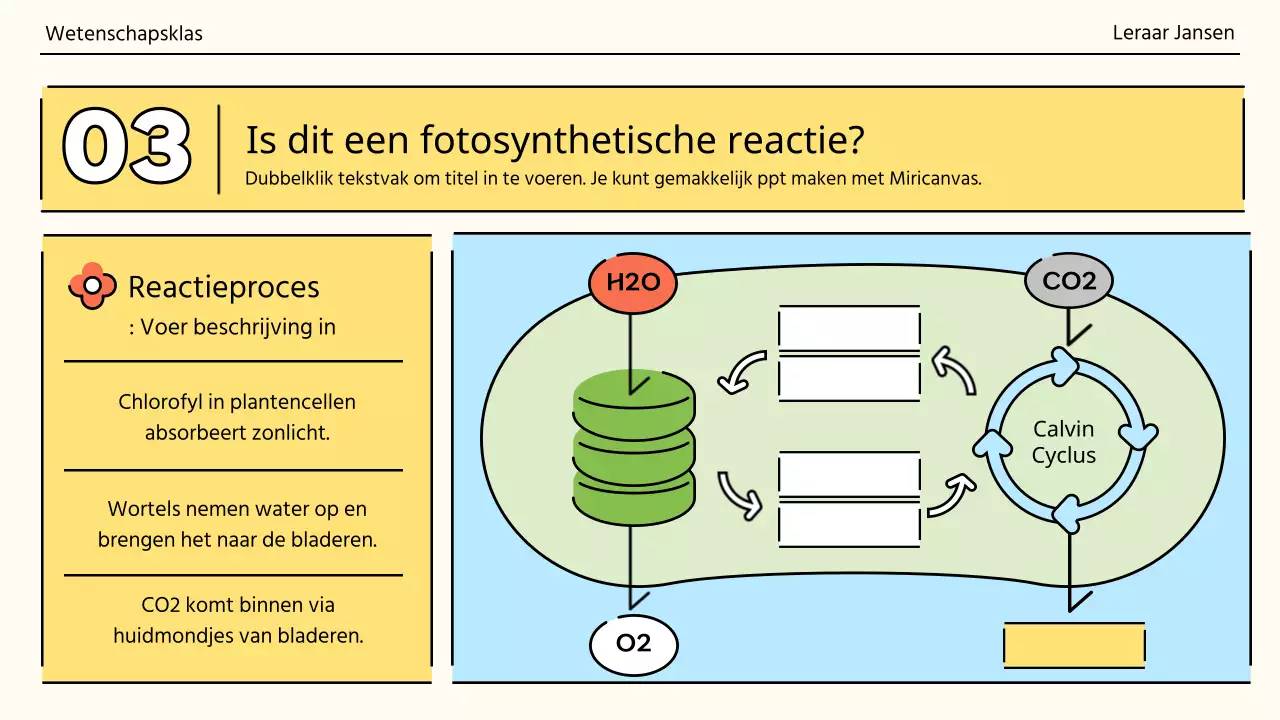 Fotosynthese in een knal oranje en groen