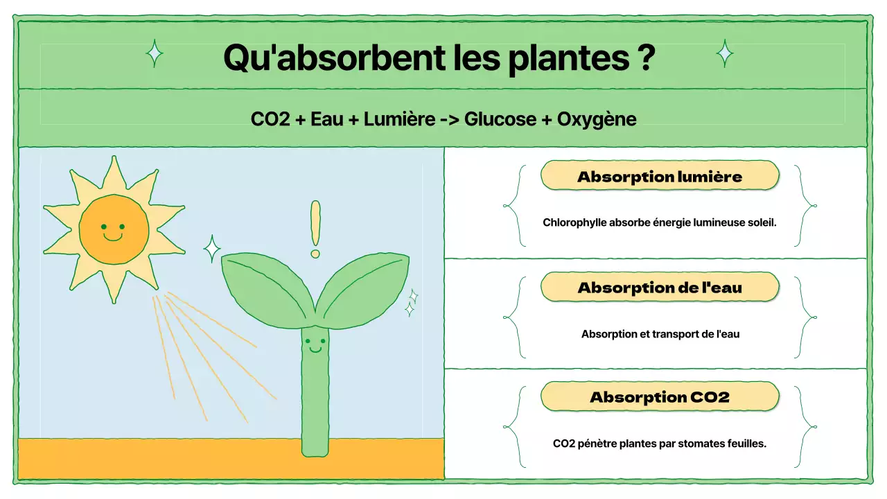 Ressources pédagogiques sur la photosynthèse en chartreuse et bleu clair