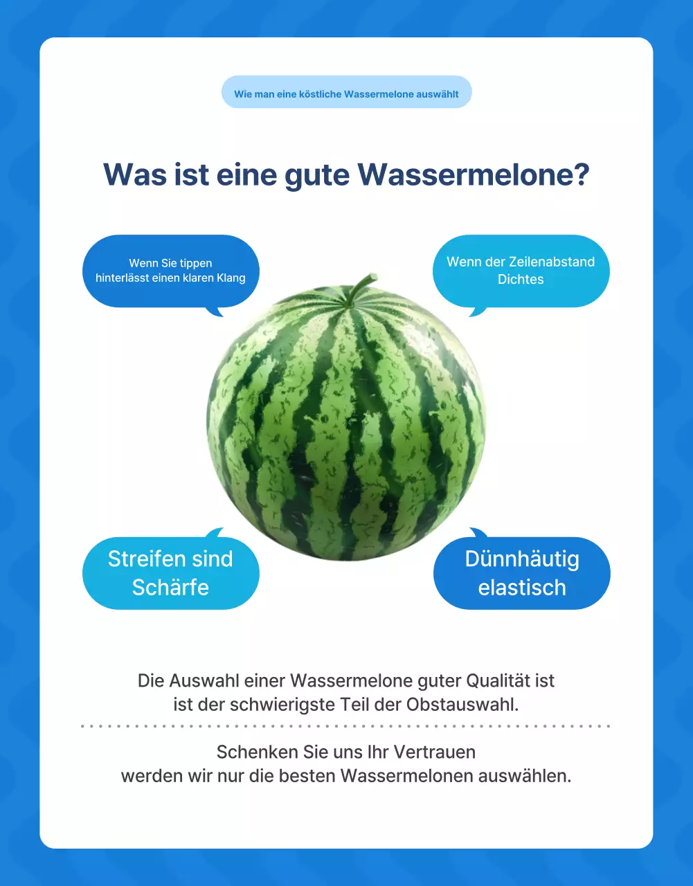 Förderung natürlicher Sommerfrüchte der Saison in Blau und Weiß