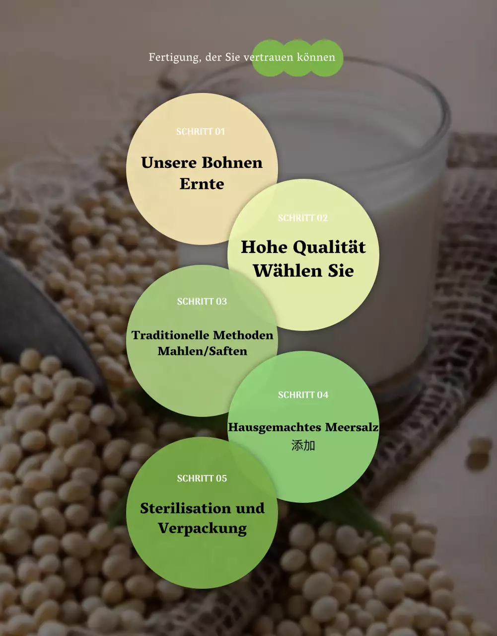 Über das beige, minimalistische Sojamilchprodukt