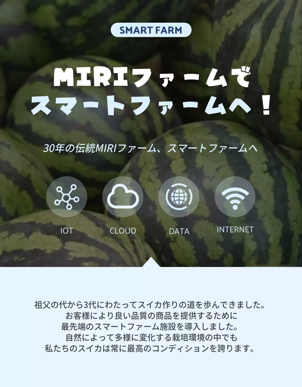 青 かわいい スイカ ポスター 詳細ページ