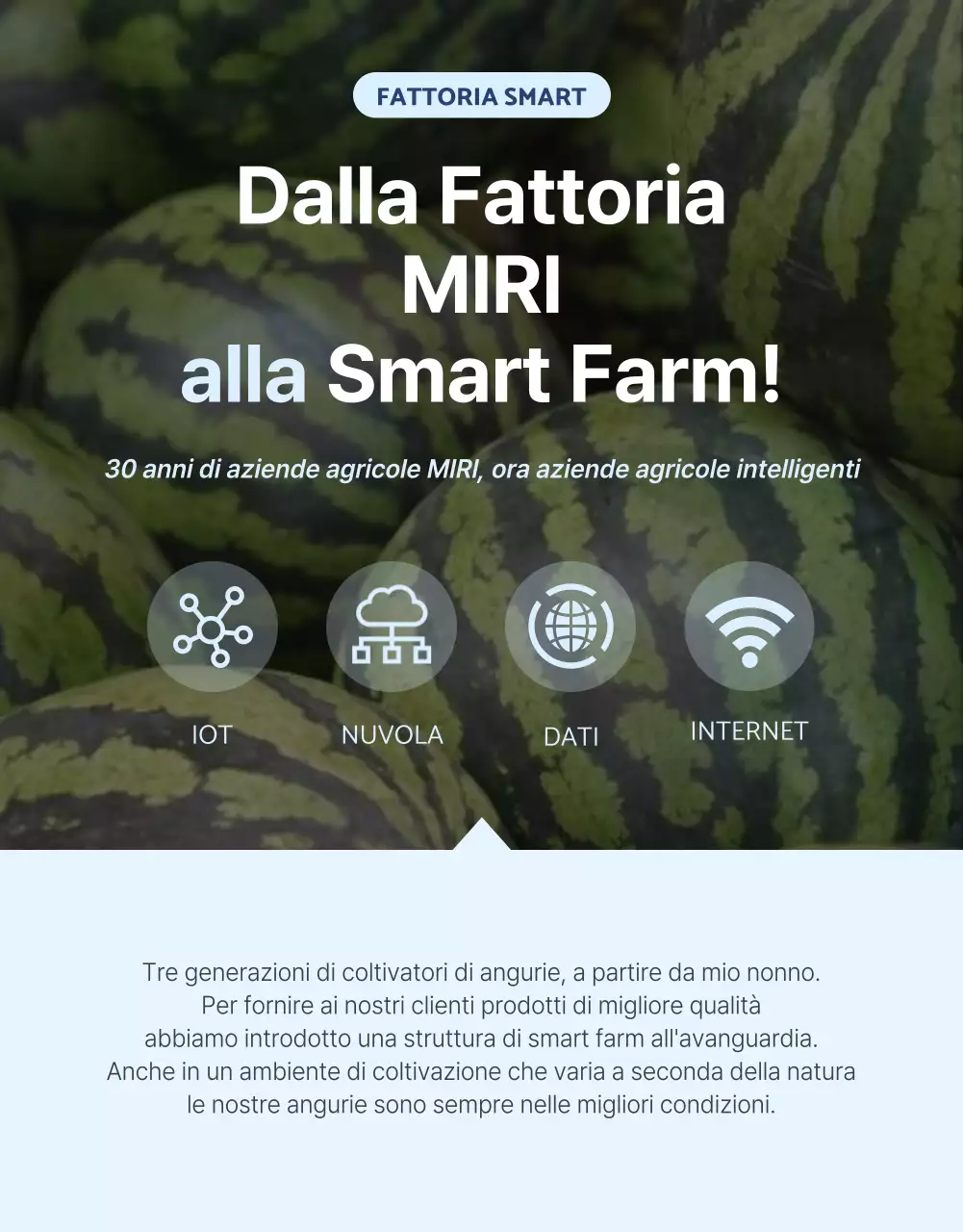 Promuovere la frutta naturale estiva di stagione in blu e bianco