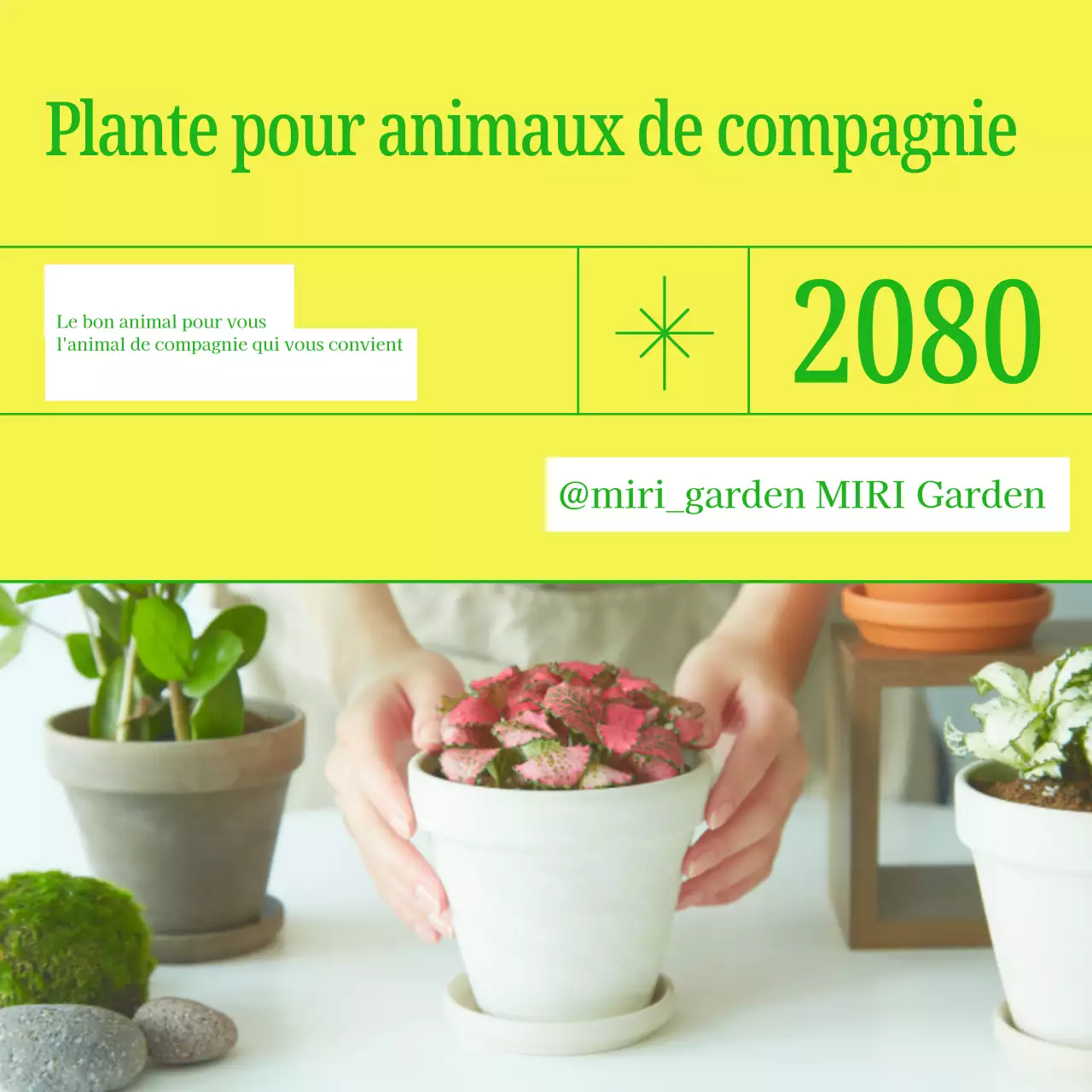 Faites la promotion de votre animal de compagnie avec des couleurs simples comme le jaune et le vert.