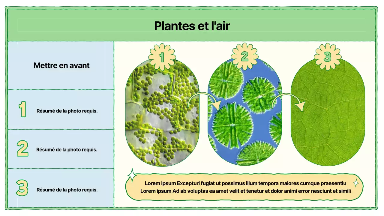 Ressources pédagogiques sur la photosynthèse en chartreuse et bleu clair