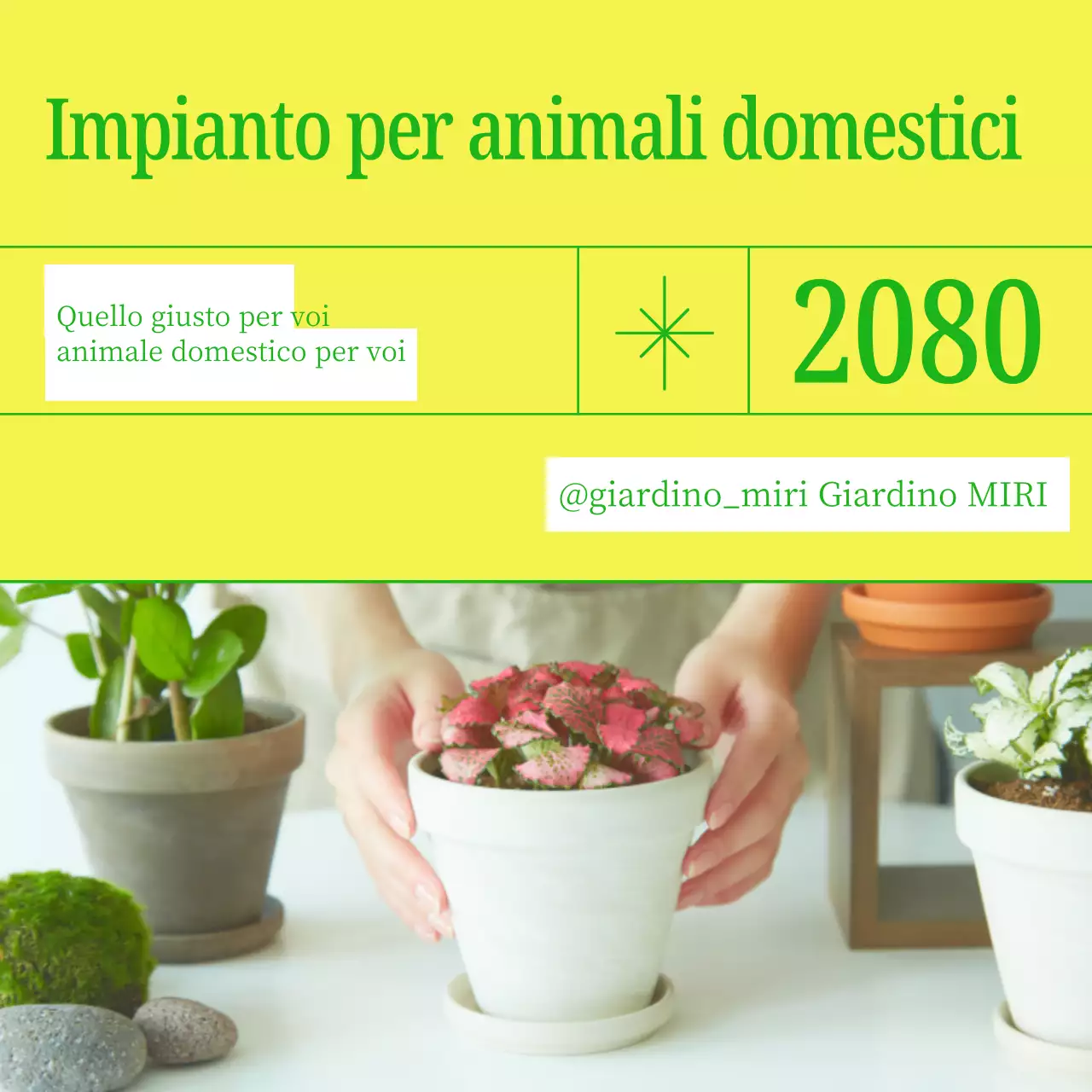Promuovete il vostro animale domestico con i semplici colori giallo e verde