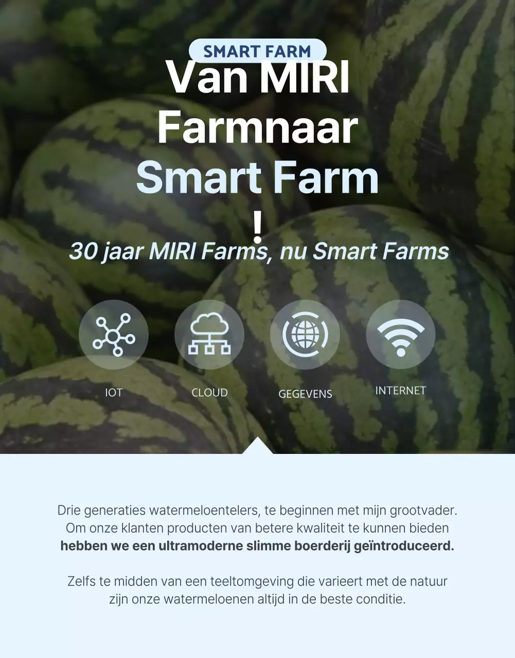 Promoot natuurlijke zomerse seizoensvruchten in blauw en wit