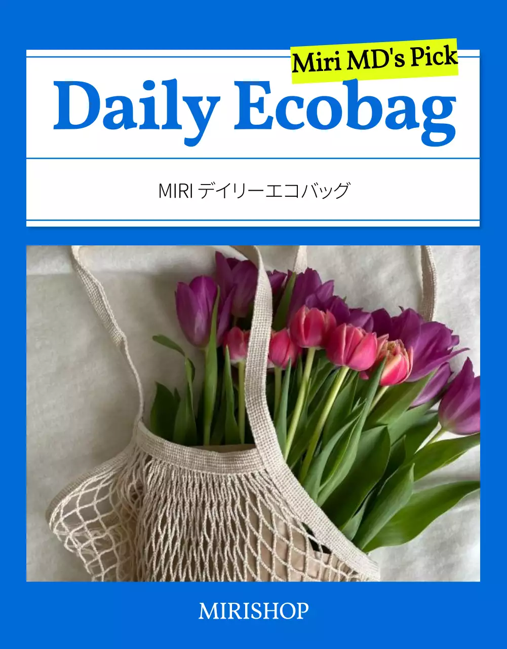 青 モダン エコバッグ チラシ 詳細ページ