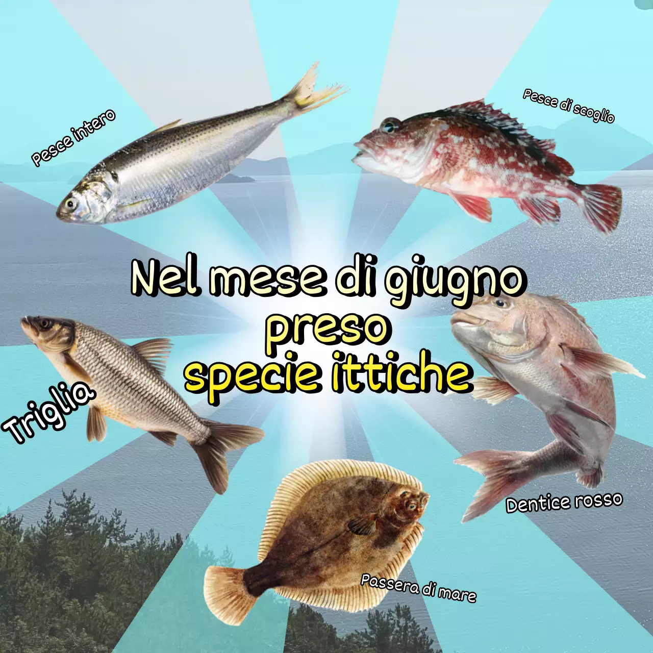 Promuovere la pesca in retro mare di blu e arcobaleno