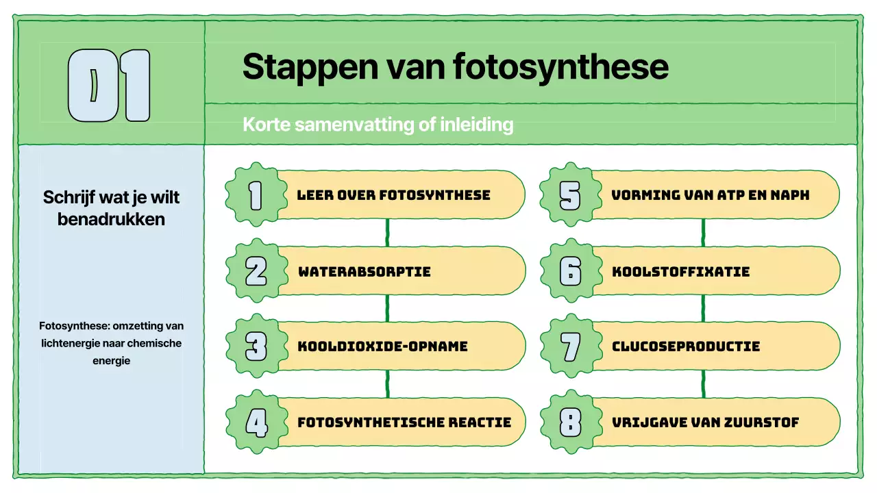 Fotosynthese leermiddelen in chartreuse en lichtblauw
