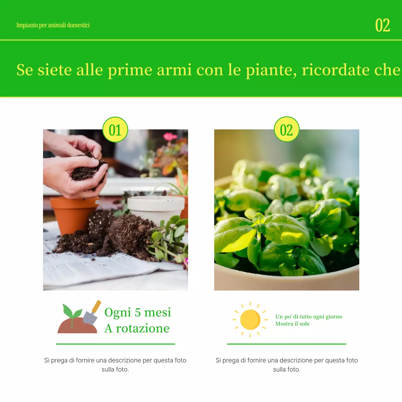 Promuovete il vostro animale domestico con i semplici colori giallo e verde