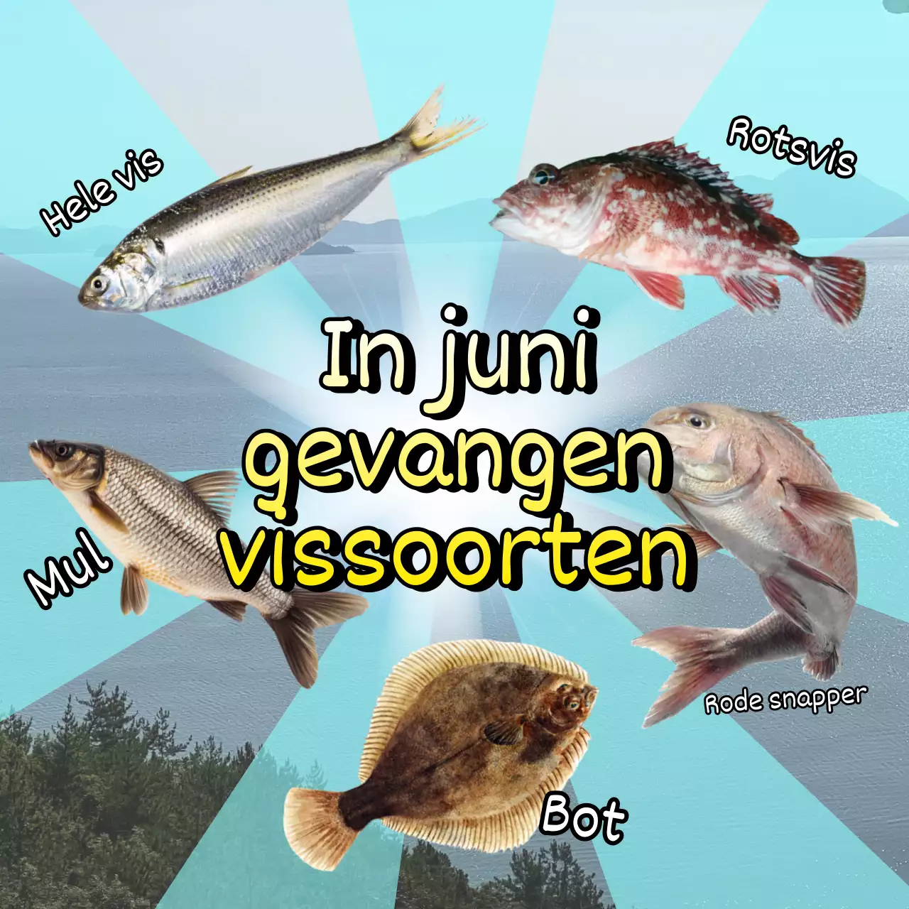 Promoot retro zeevissen op blauw en regenboog