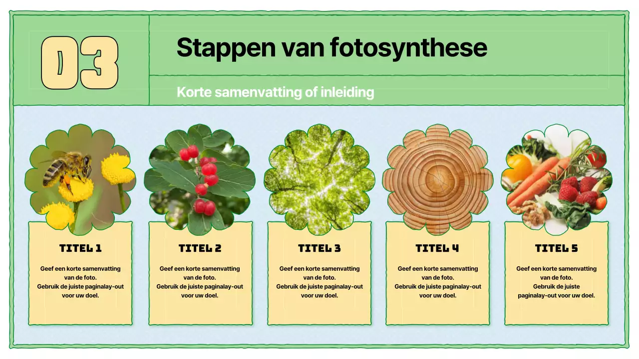 Fotosynthese leermiddelen in chartreuse en lichtblauw