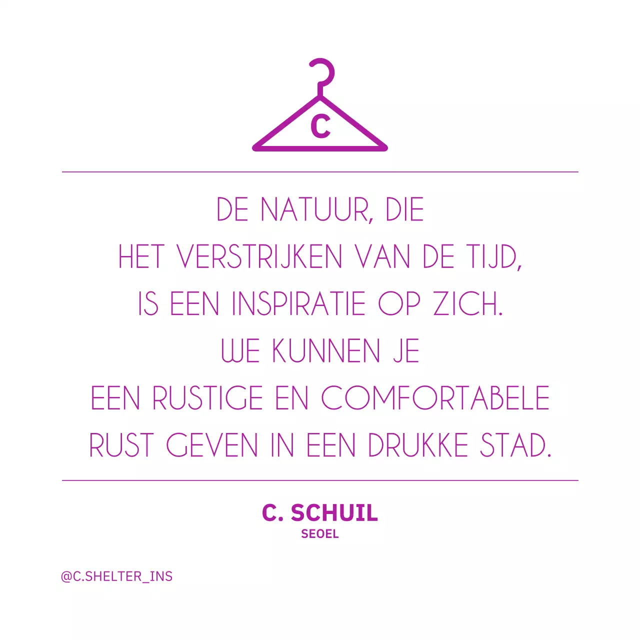 Elegante koerierstassen voor dames